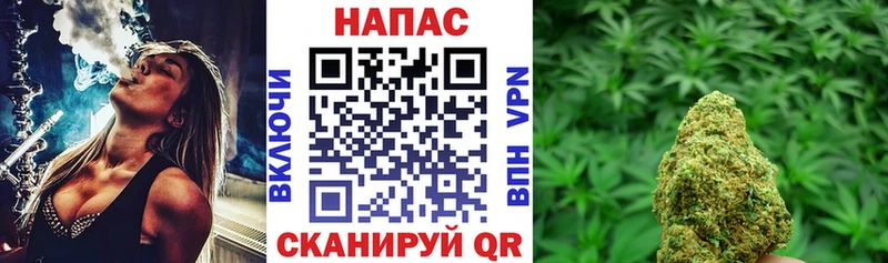 Шишки марихуана индика  Купить закладки  Кизилюрт 